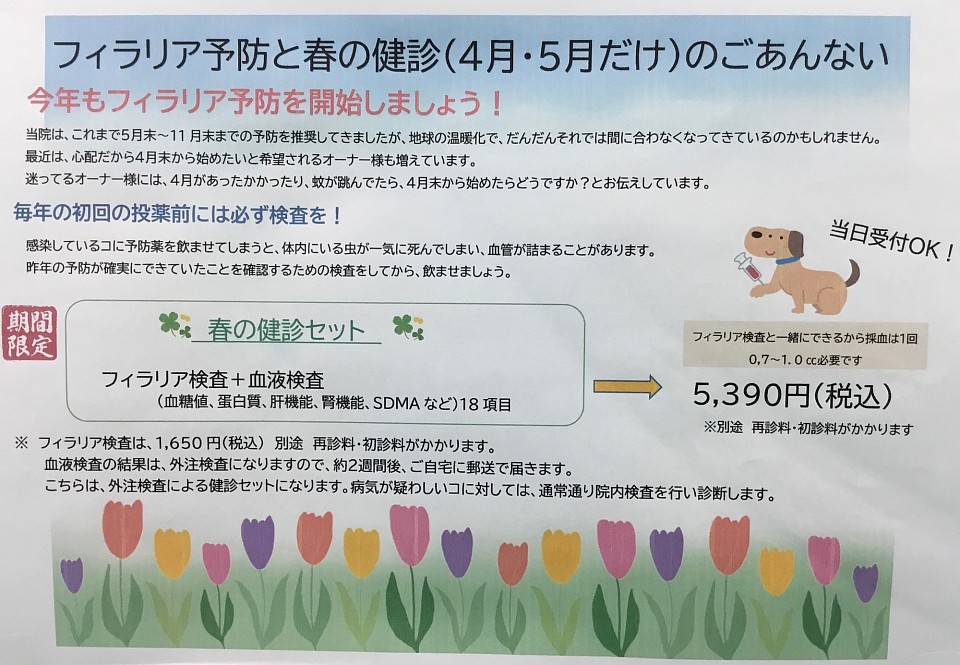 フィラリアと春の健診