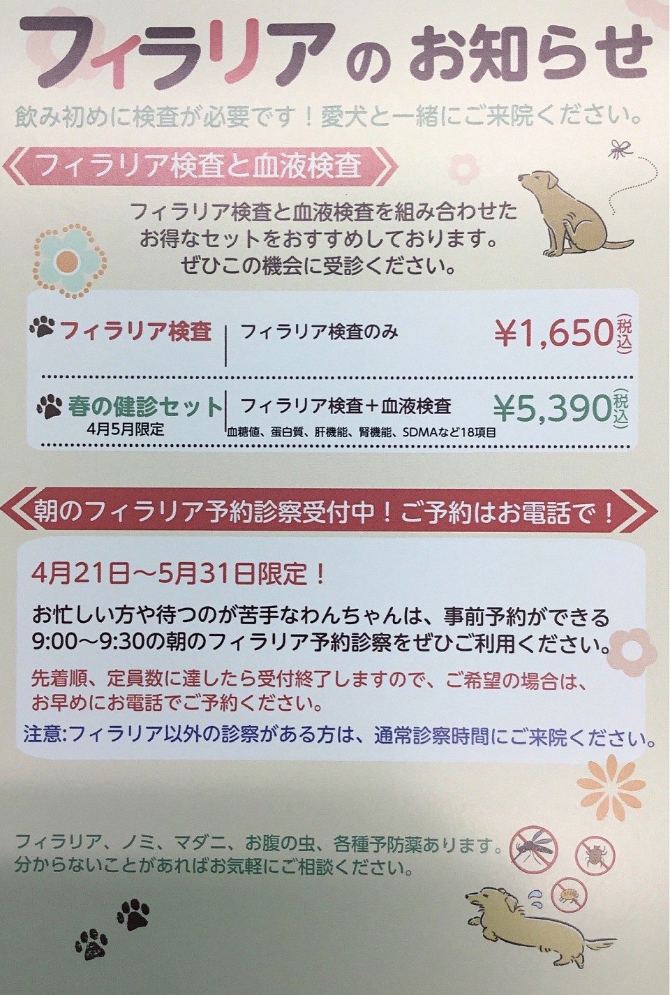フィラリアのハガキ