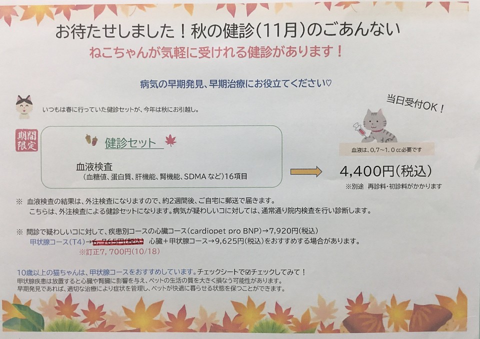 猫の健診