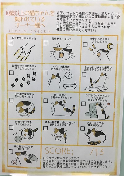10歳以上の猫ちゃん