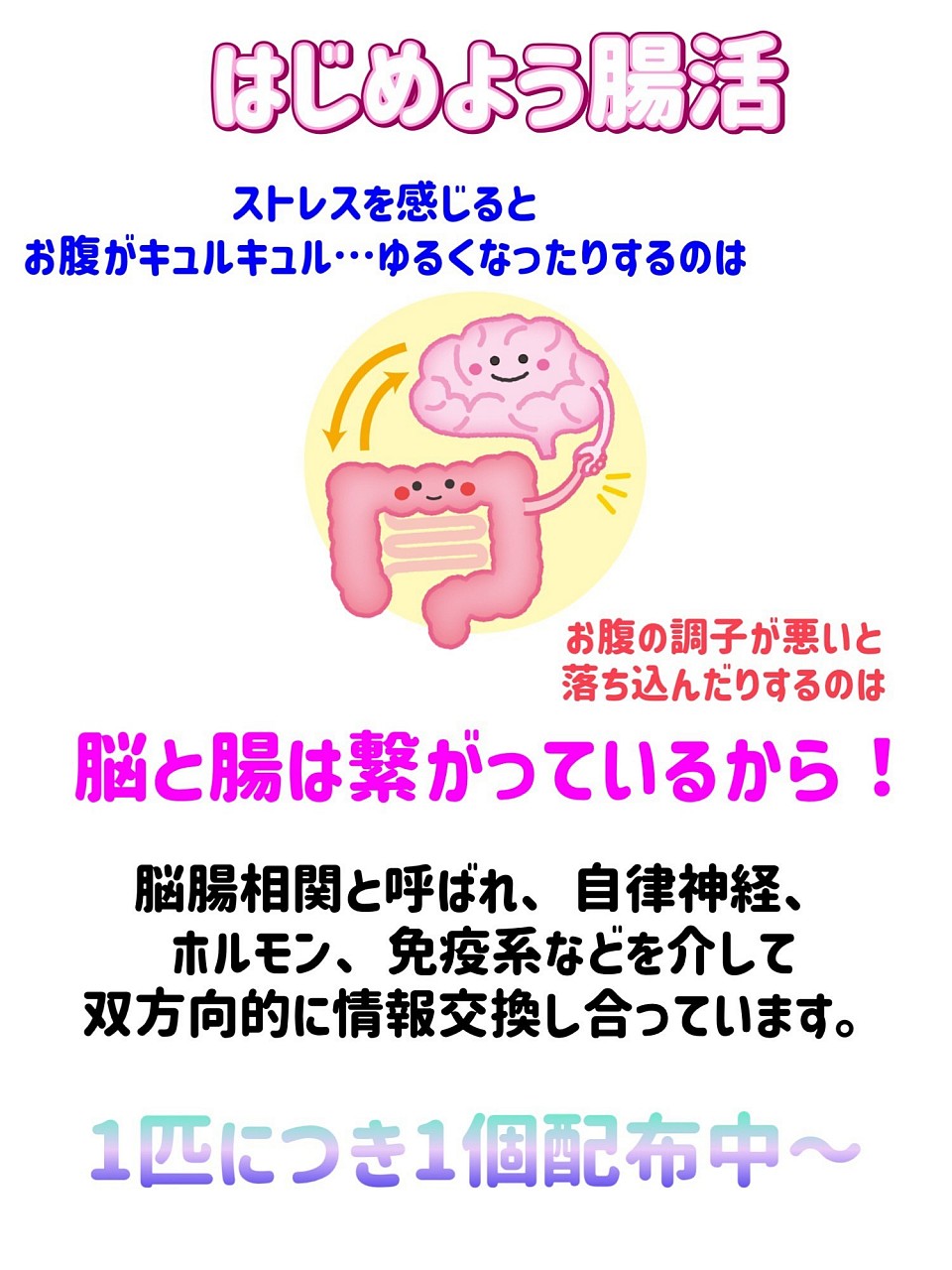 ビオフェルミン