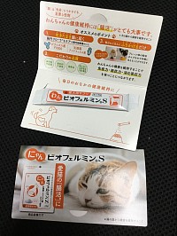 1ヶ月間11月19日まで配布します。