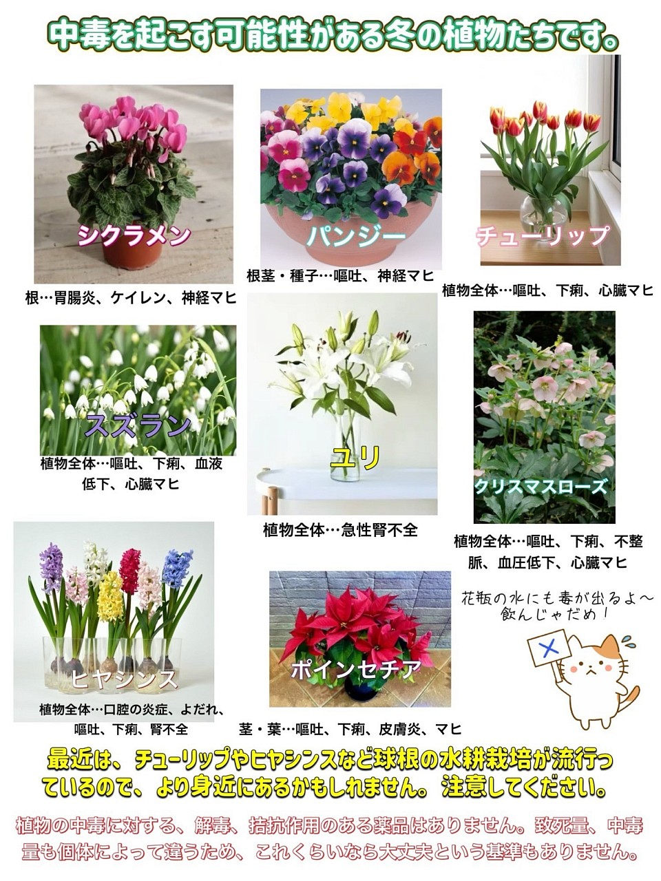 中毒を起こす植物