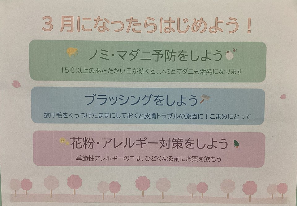 3月になったらはじめよう