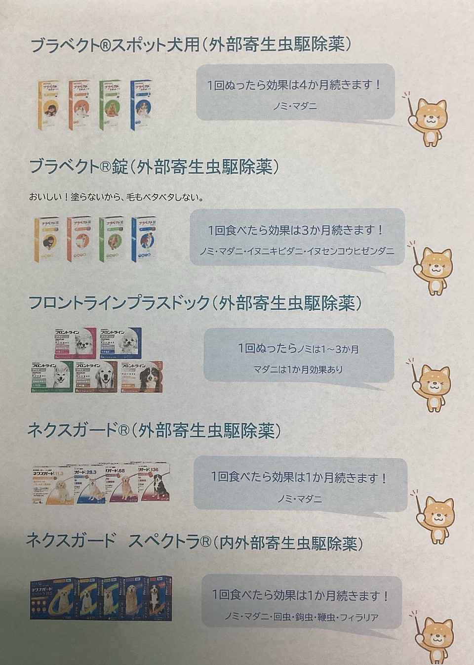 犬の外部寄生虫