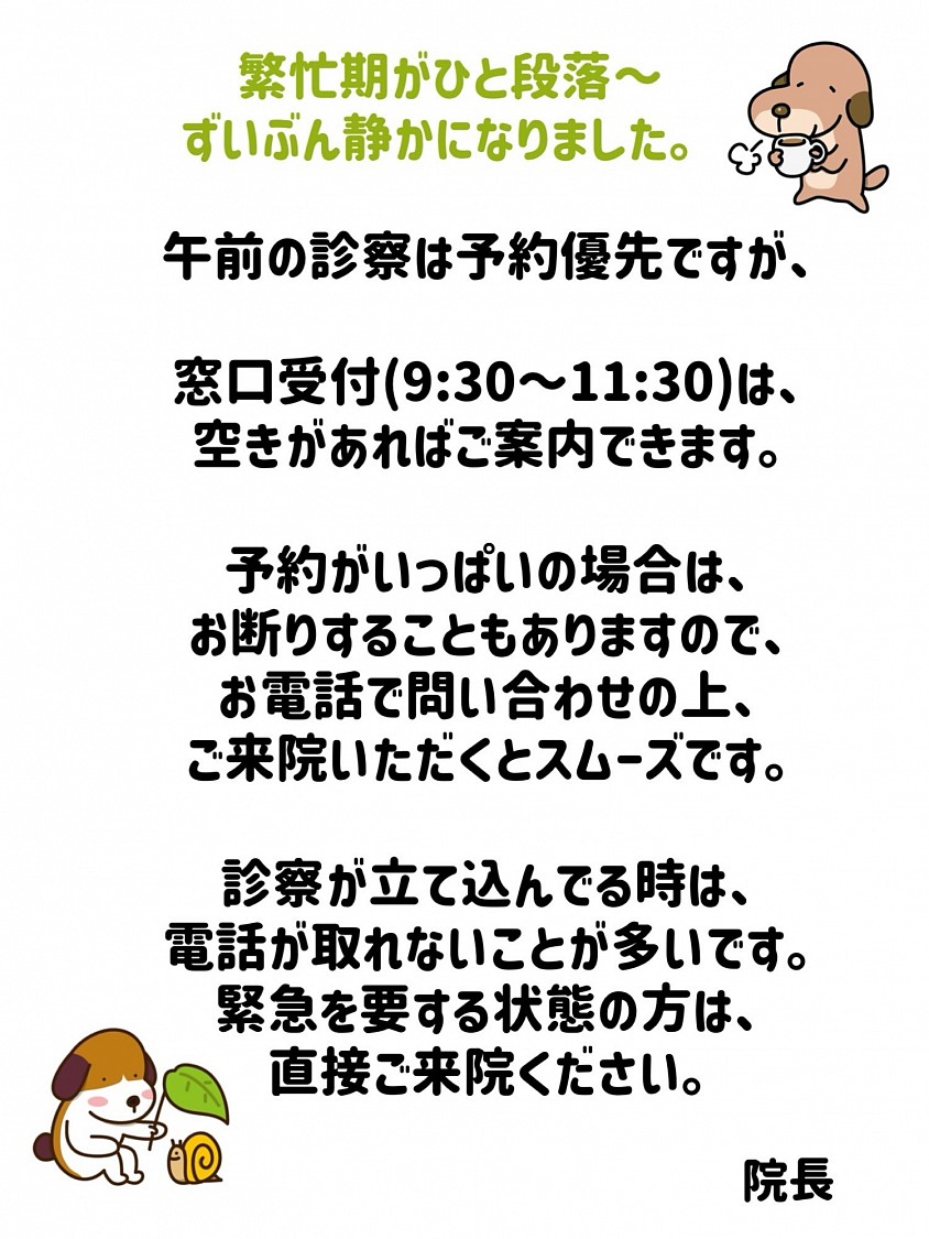 午前の診察