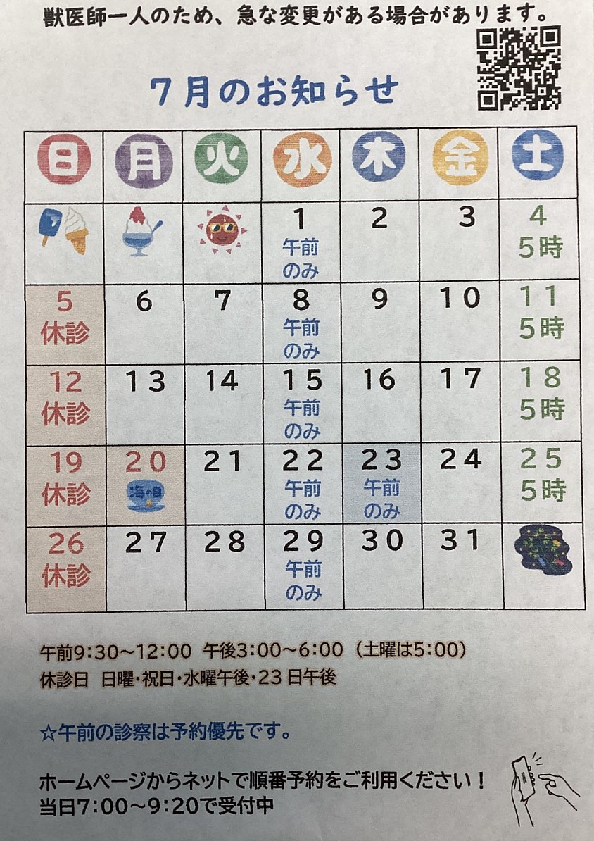 7月の予定