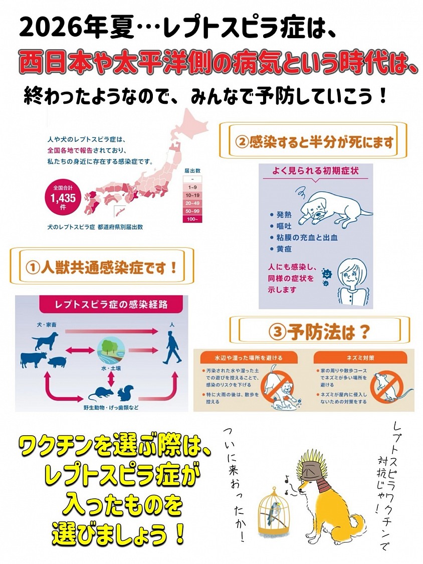 レプトスピラ