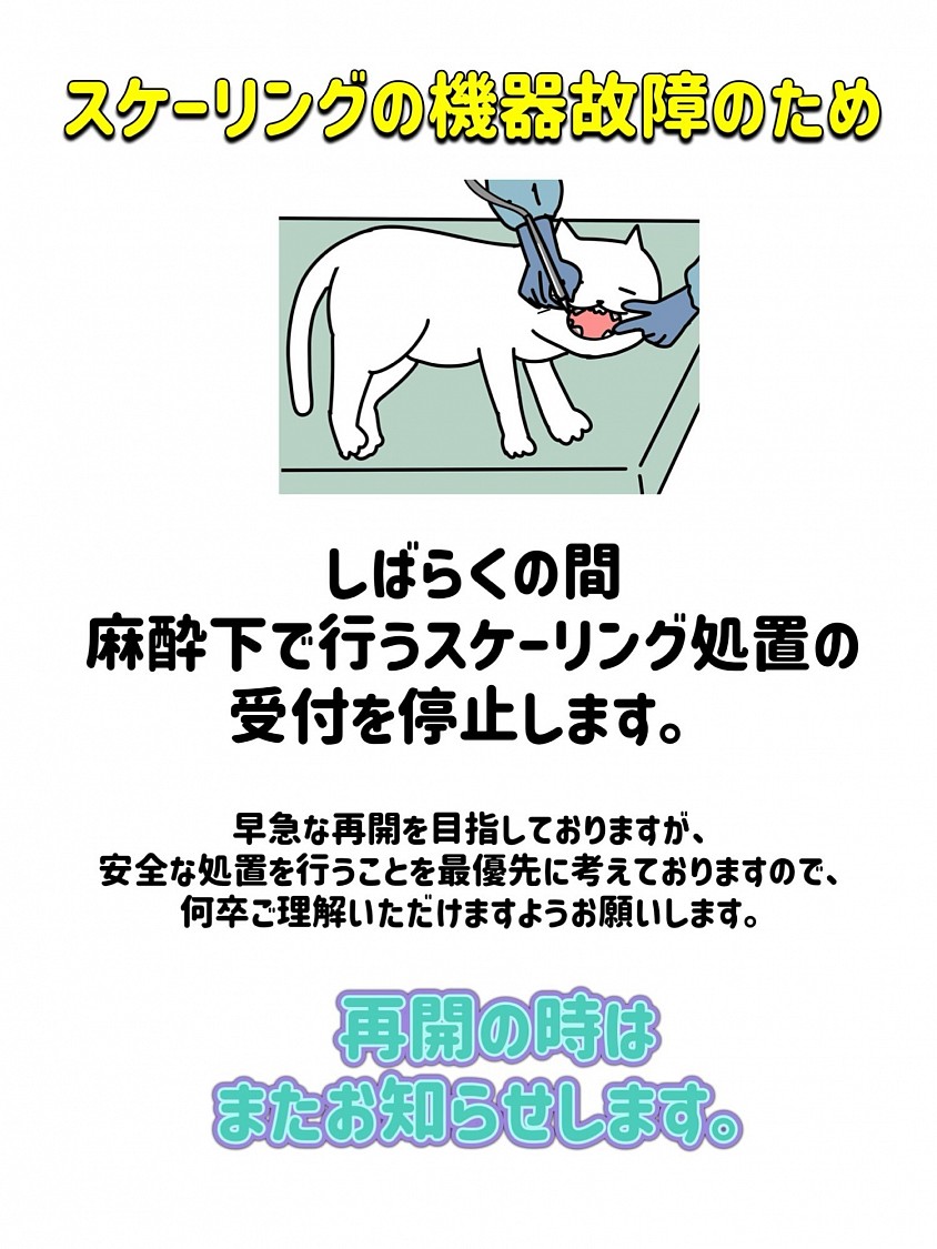 スケーリング