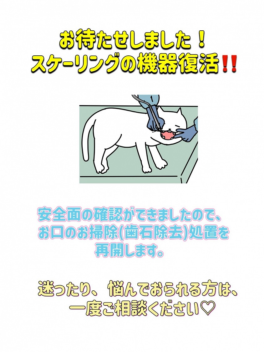 スケーリング